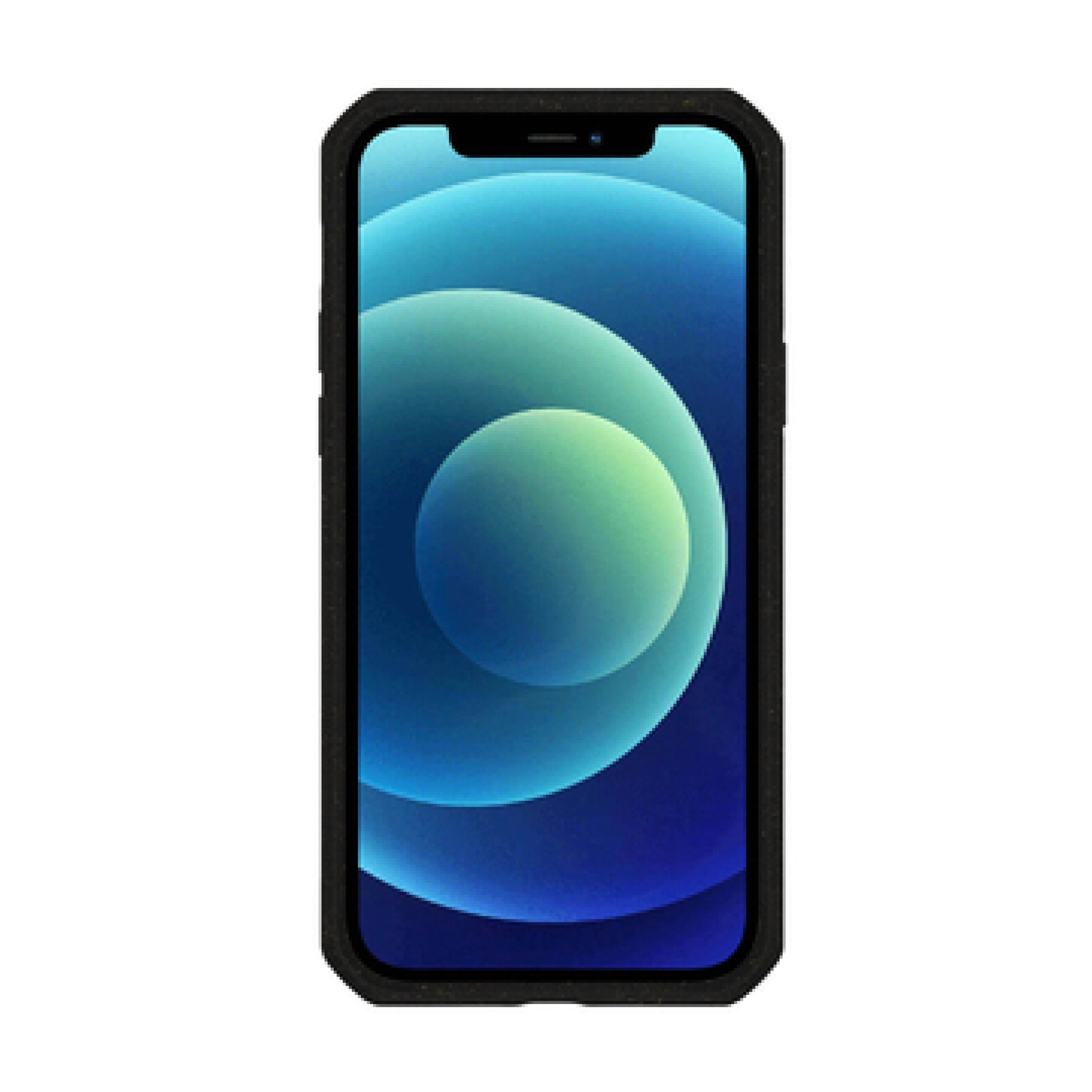 ITSKINS FERONIABIO PURE cover til iPhone 12 mini®. Sort og gennemsigtig